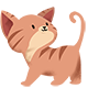 world cat association微信小程序